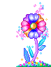 Fleur Multicolore